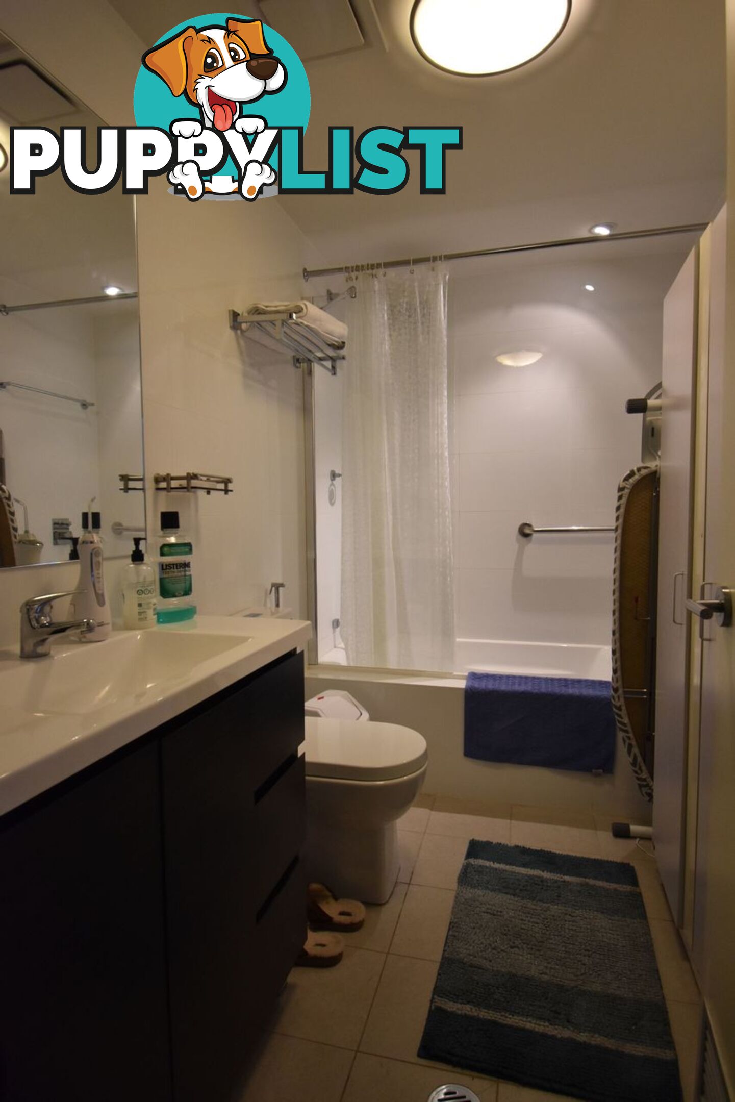 2605/420 Macquarie Street LIVERPOOL NSW 2170