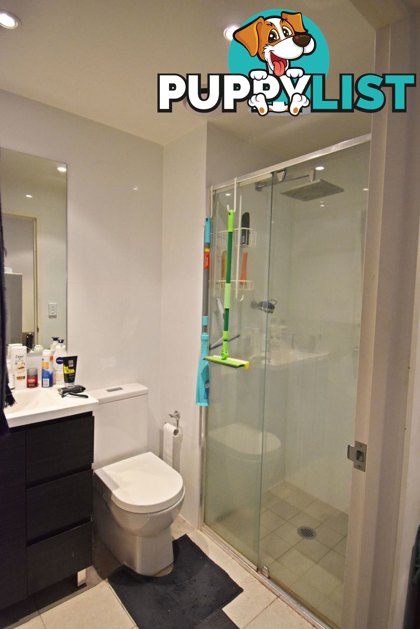 2605/420 Macquarie Street LIVERPOOL NSW 2170