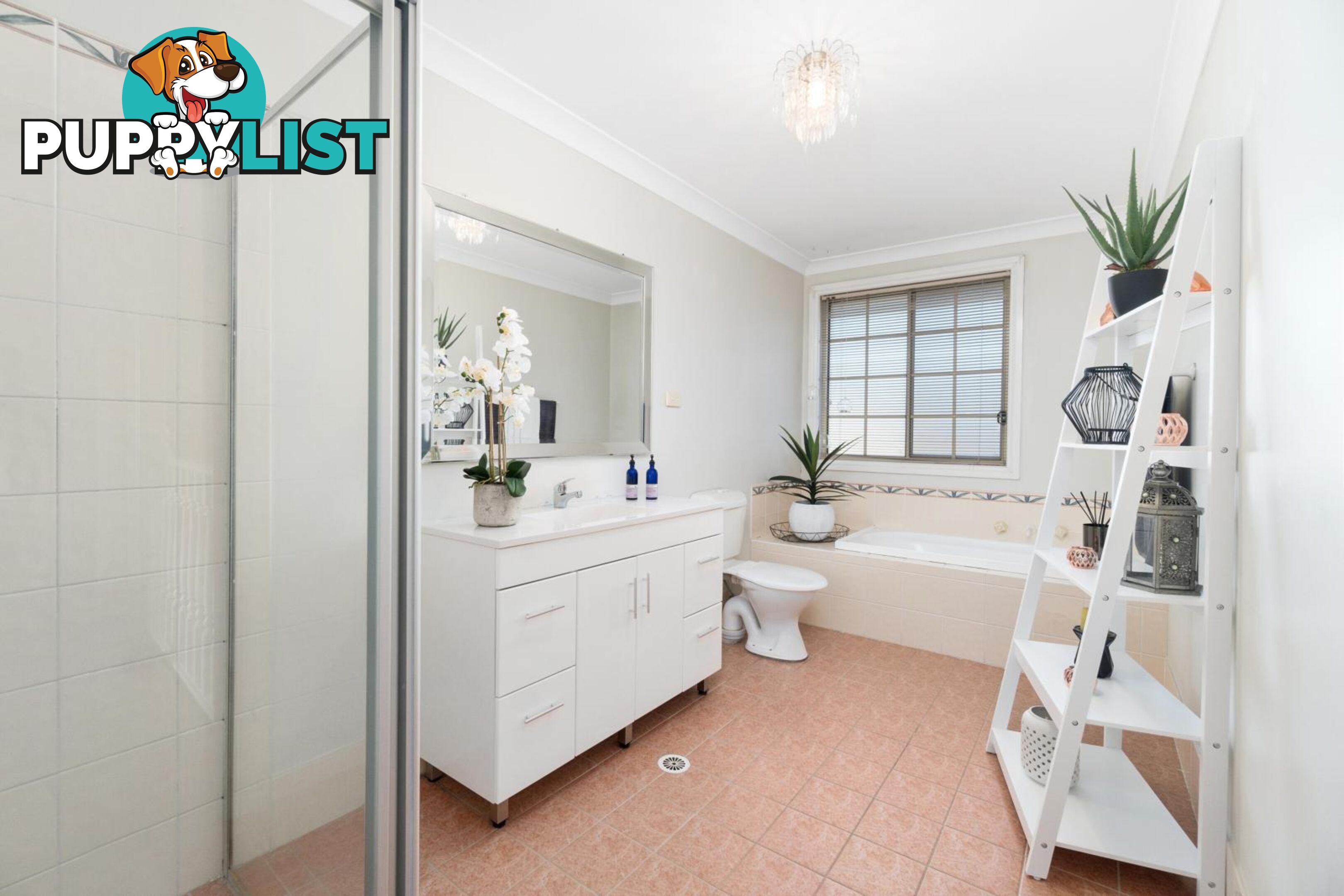 8 Redpa Close WEST HOXTON NSW 2171