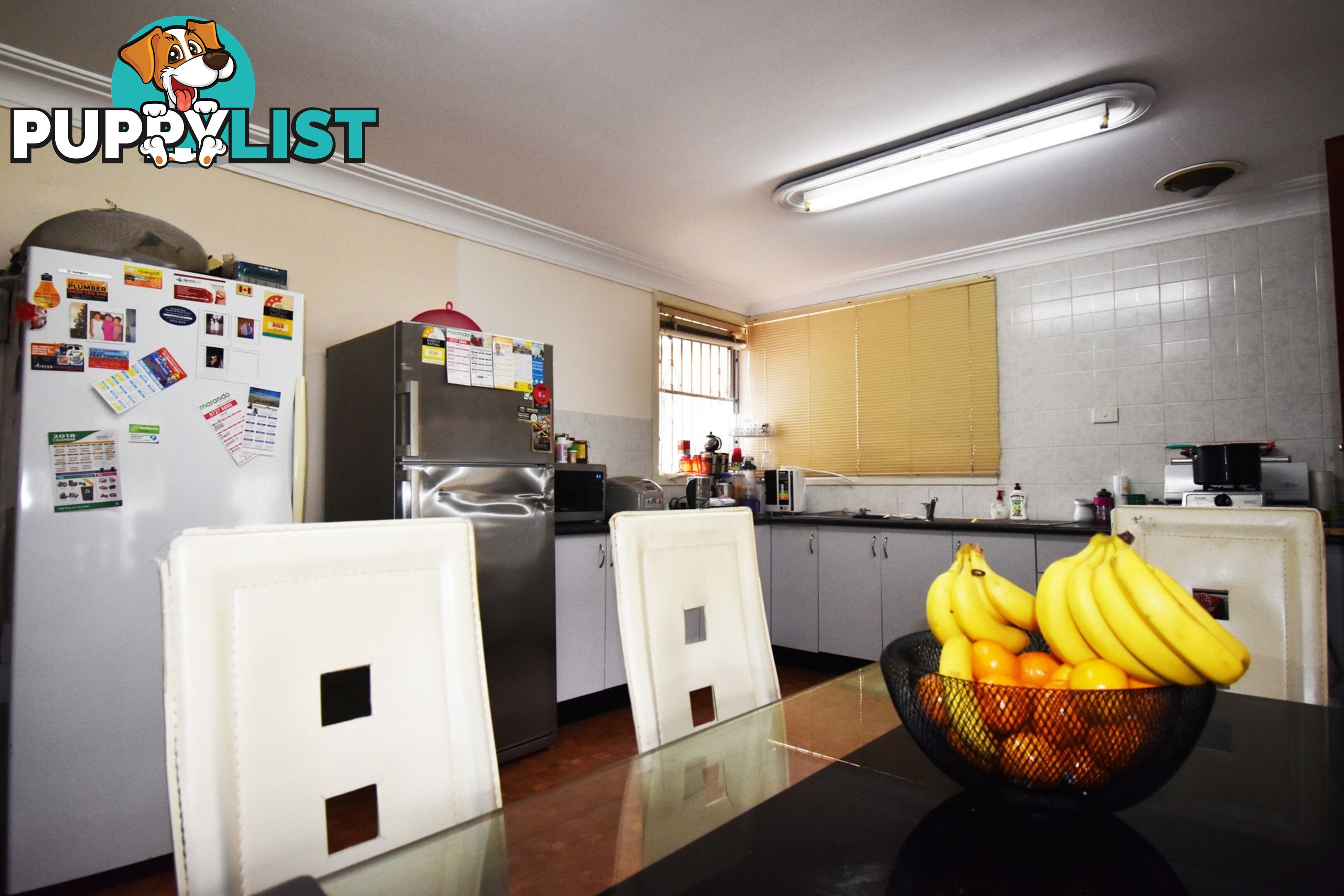 11 Marlborough Street FAIRFIELD HEIGHTS NSW 2165