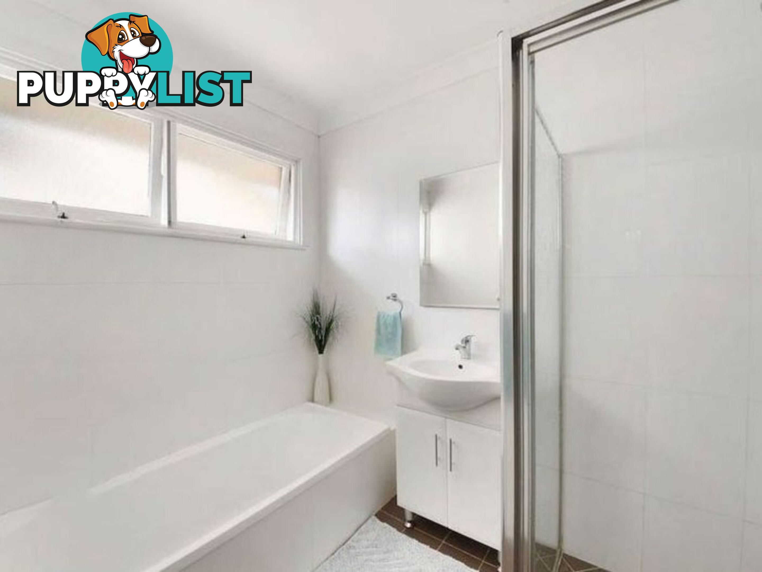 24 Brudenell Ave LEUMEAH NSW 2560