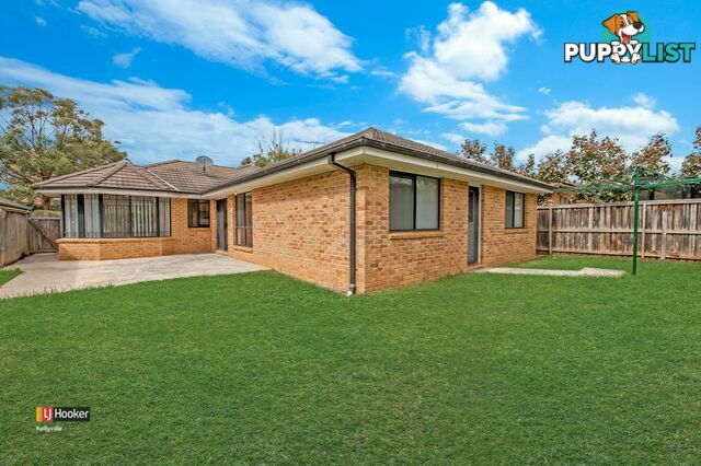 42 Ponytail Drive STANHOPE GARDENS NSW 2768