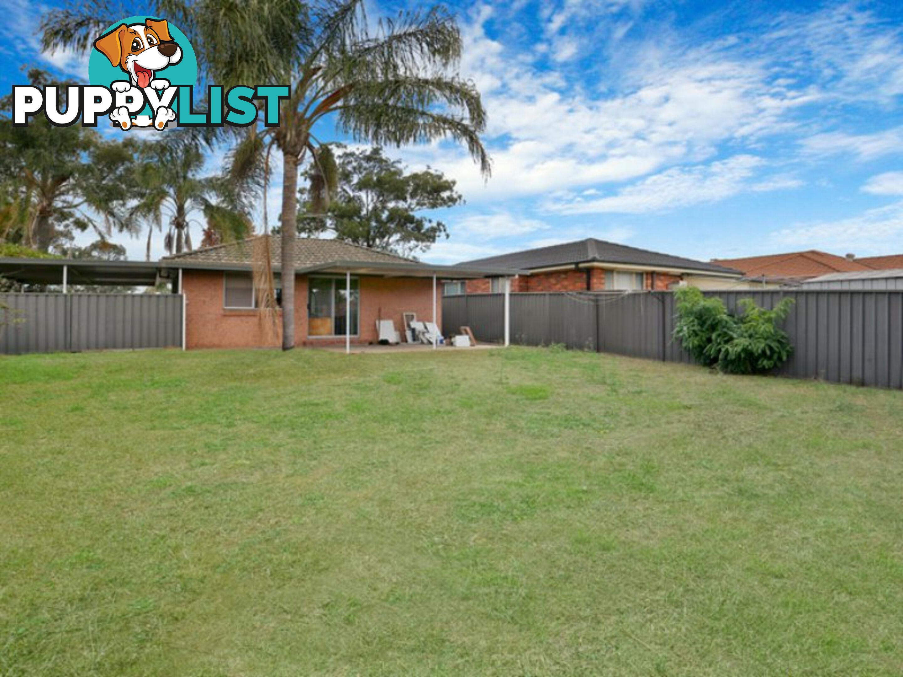 15 Falmouth Road QUAKERS HILL NSW 2763