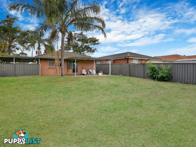 15 Falmouth Road QUAKERS HILL NSW 2763