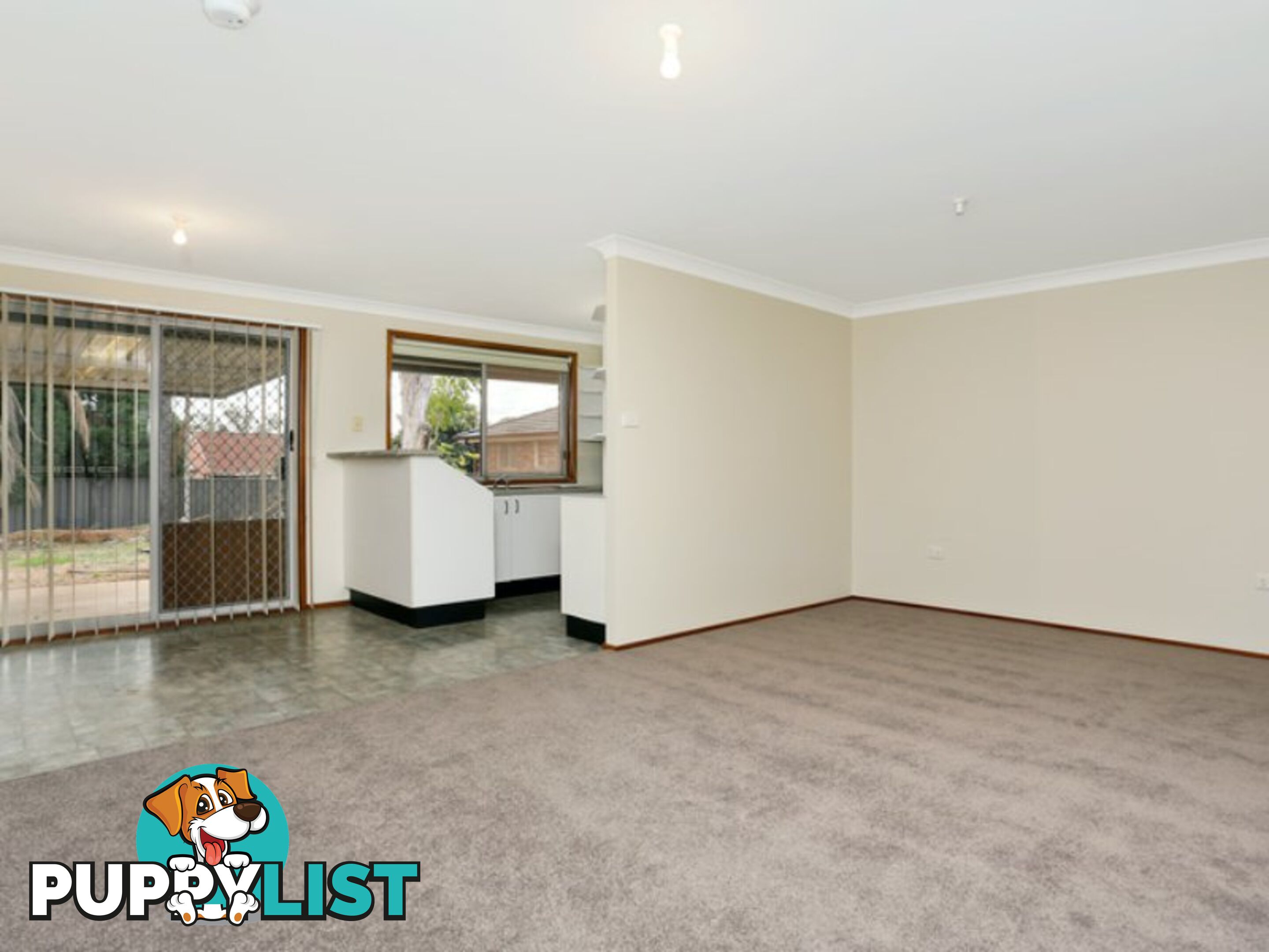 15 Falmouth Road QUAKERS HILL NSW 2763