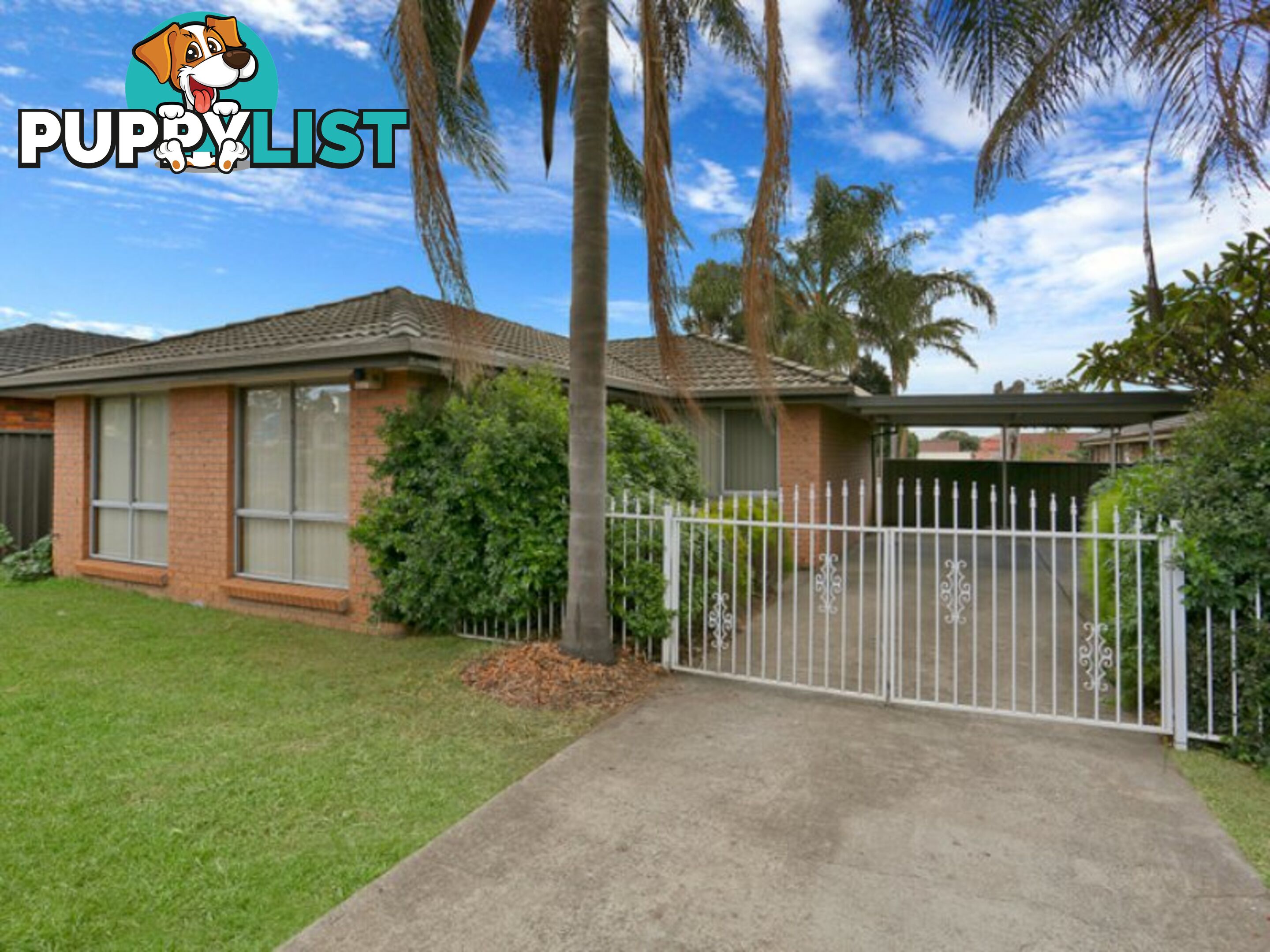 15 Falmouth Road QUAKERS HILL NSW 2763