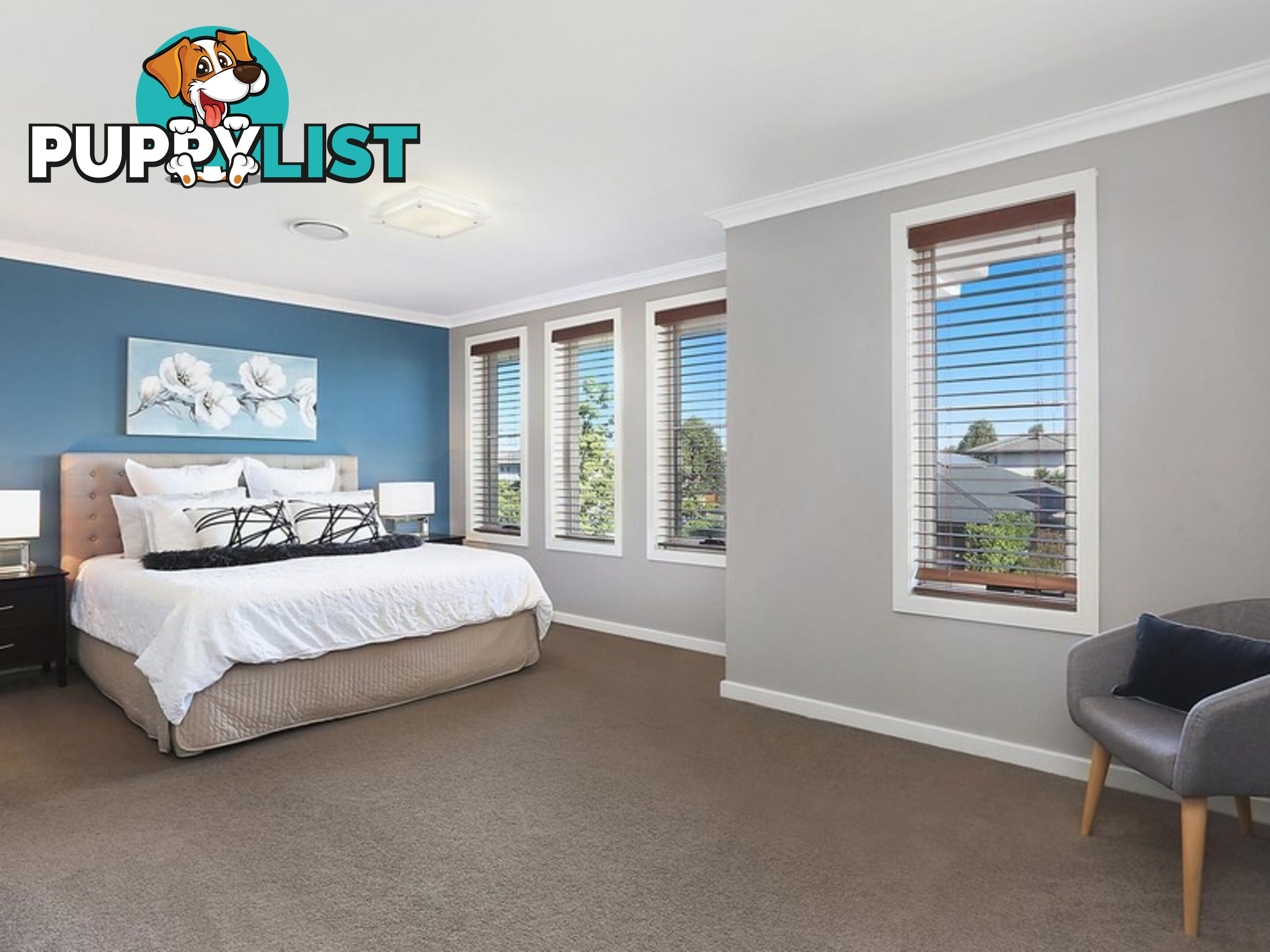 8 Spring Street THE PONDS NSW 2769