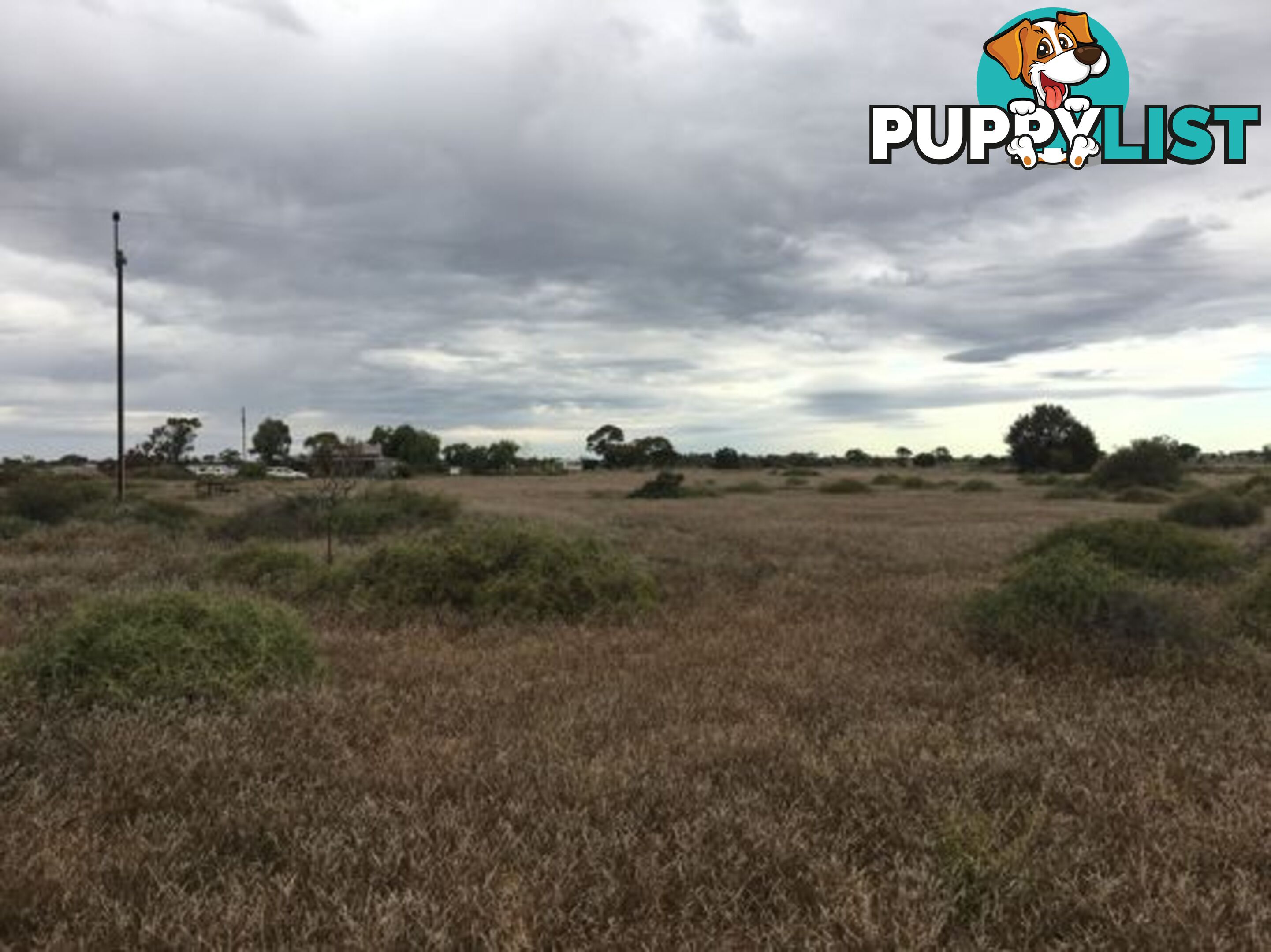 Lot 115 North Terrace MOUNT MARY SA 5374