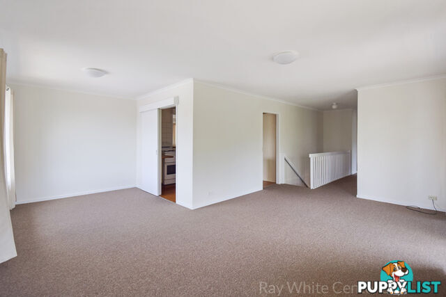 47 Clarina Street CHAPEL HILL QLD 4069