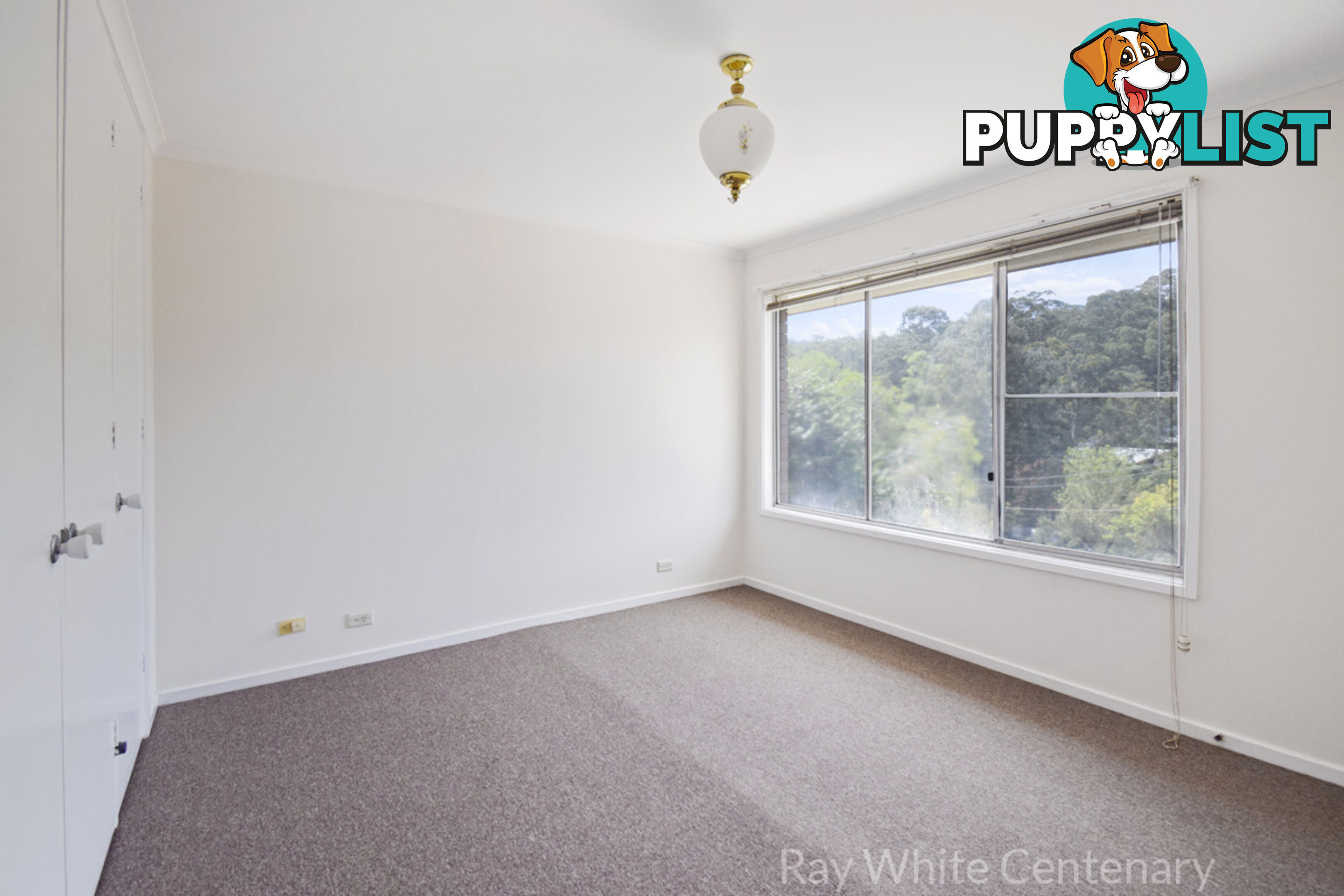 47 Clarina Street CHAPEL HILL QLD 4069