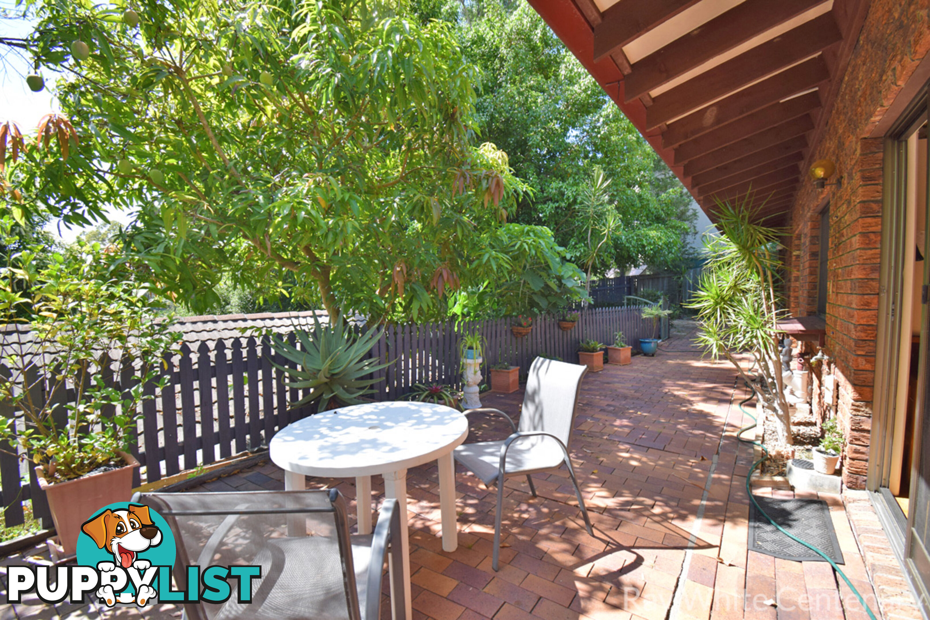 33 Burrumbuck Street CHAPEL HILL QLD 4069