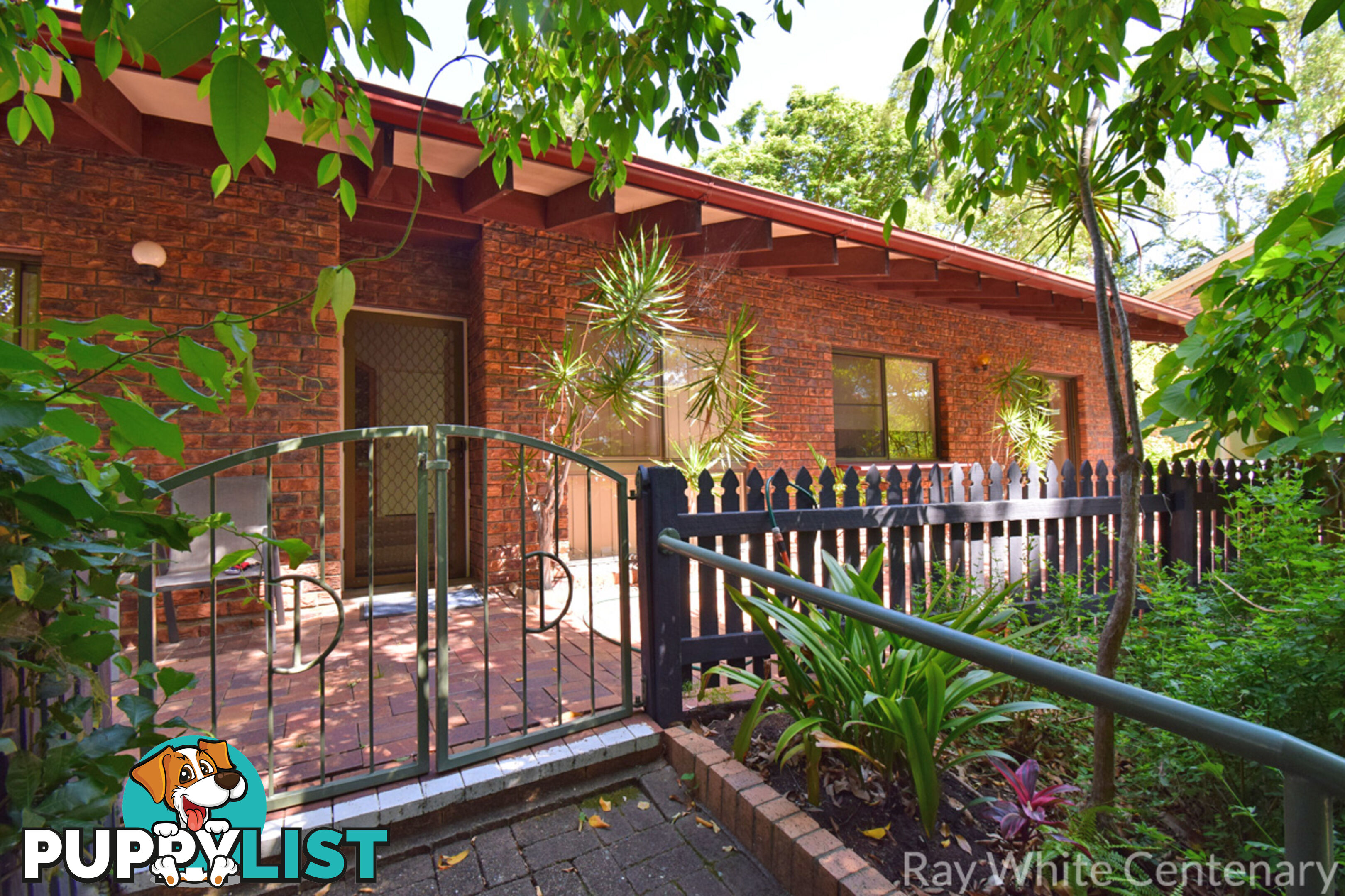 33 Burrumbuck Street CHAPEL HILL QLD 4069