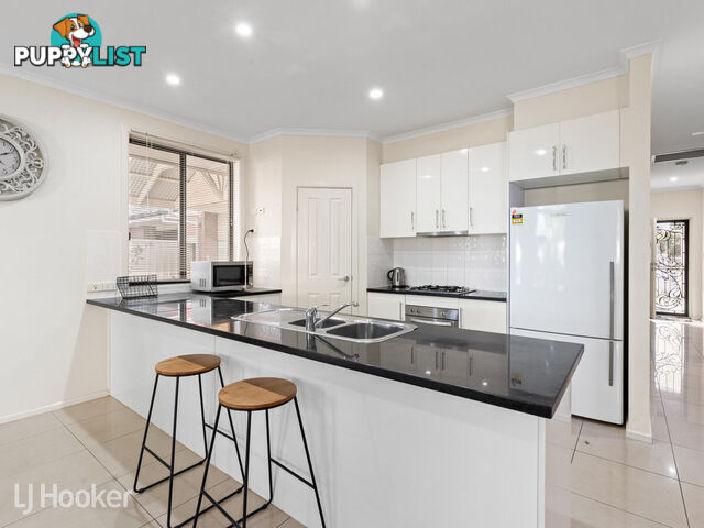 19 Whitbread Avenue KLEMZIG SA 5087