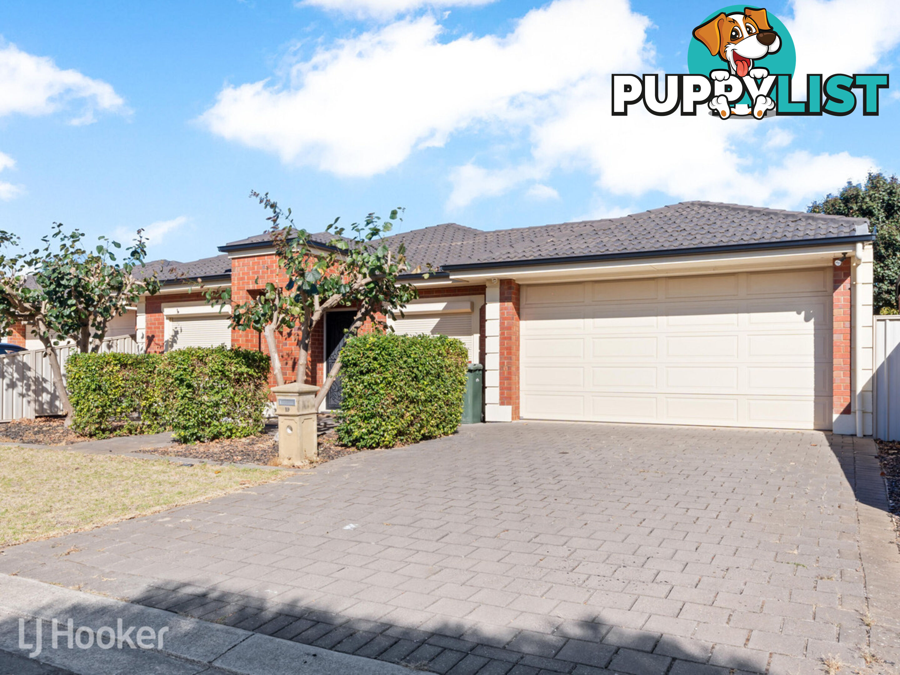 19 Whitbread Avenue KLEMZIG SA 5087