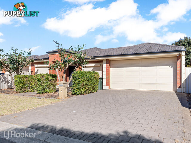 19 Whitbread Avenue KLEMZIG SA 5087