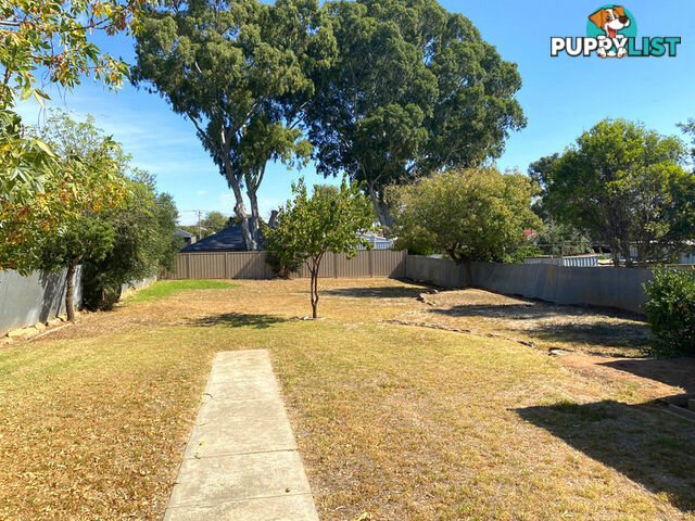 10 Sandra Avenue ROSTREVOR SA 5073