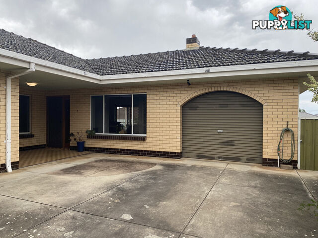 2/21a Williams Avenue ST MORRIS SA 5068