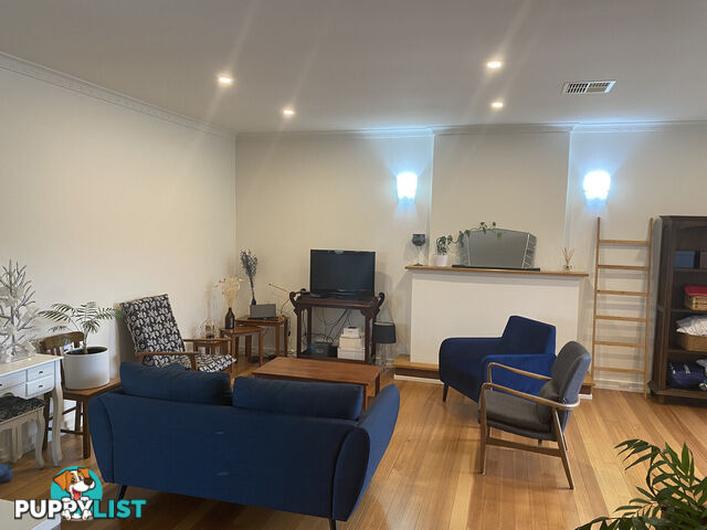 2/21a Williams Avenue ST MORRIS SA 5068
