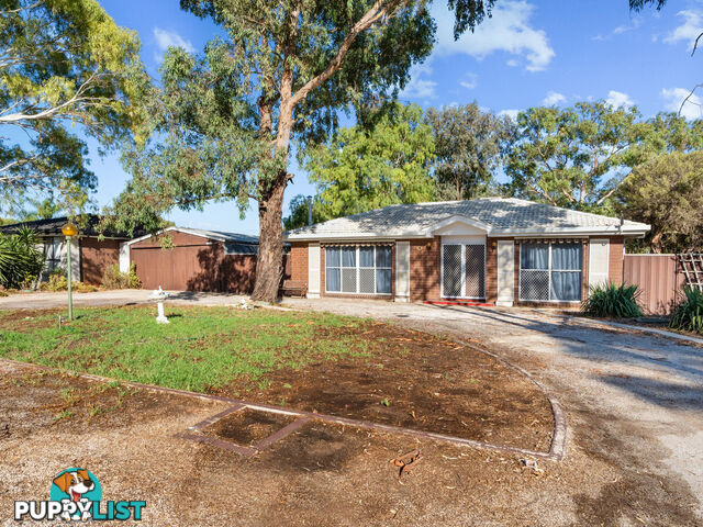 14 Alabar Crescent GLOBE DERBY PARK SA 5110