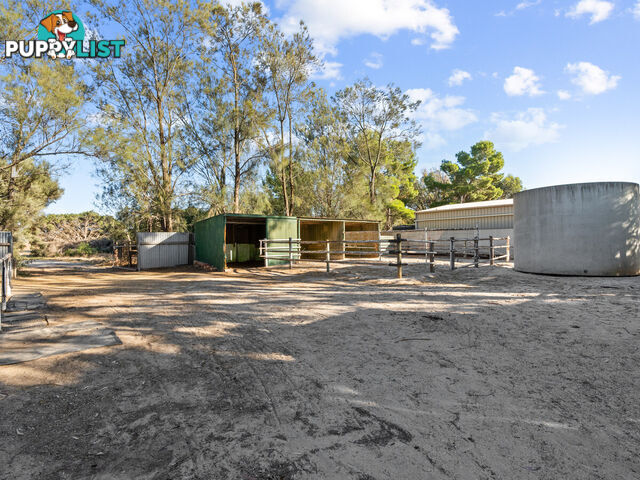 14 Alabar Crescent GLOBE DERBY PARK SA 5110