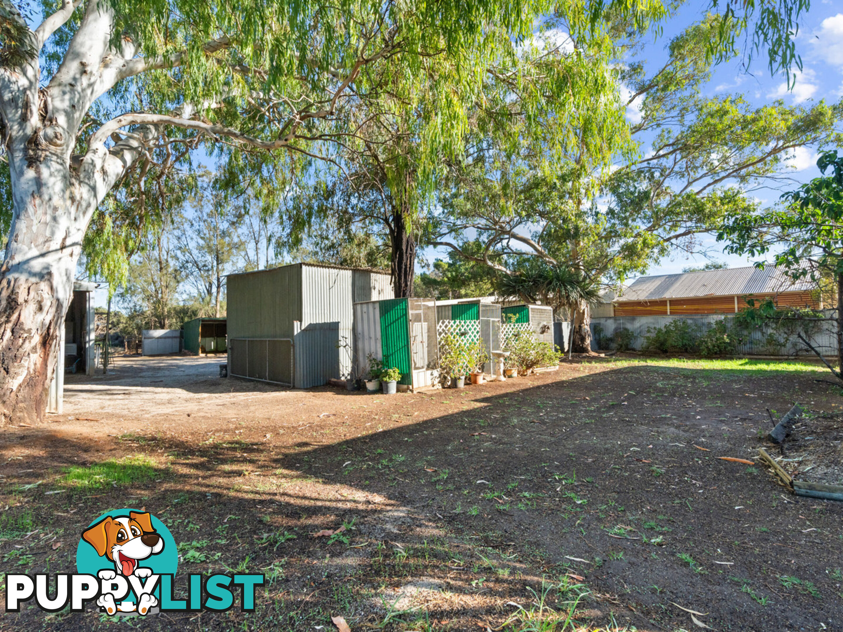 14 Alabar Crescent GLOBE DERBY PARK SA 5110