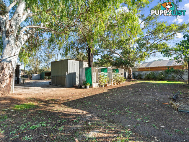 14 Alabar Crescent GLOBE DERBY PARK SA 5110