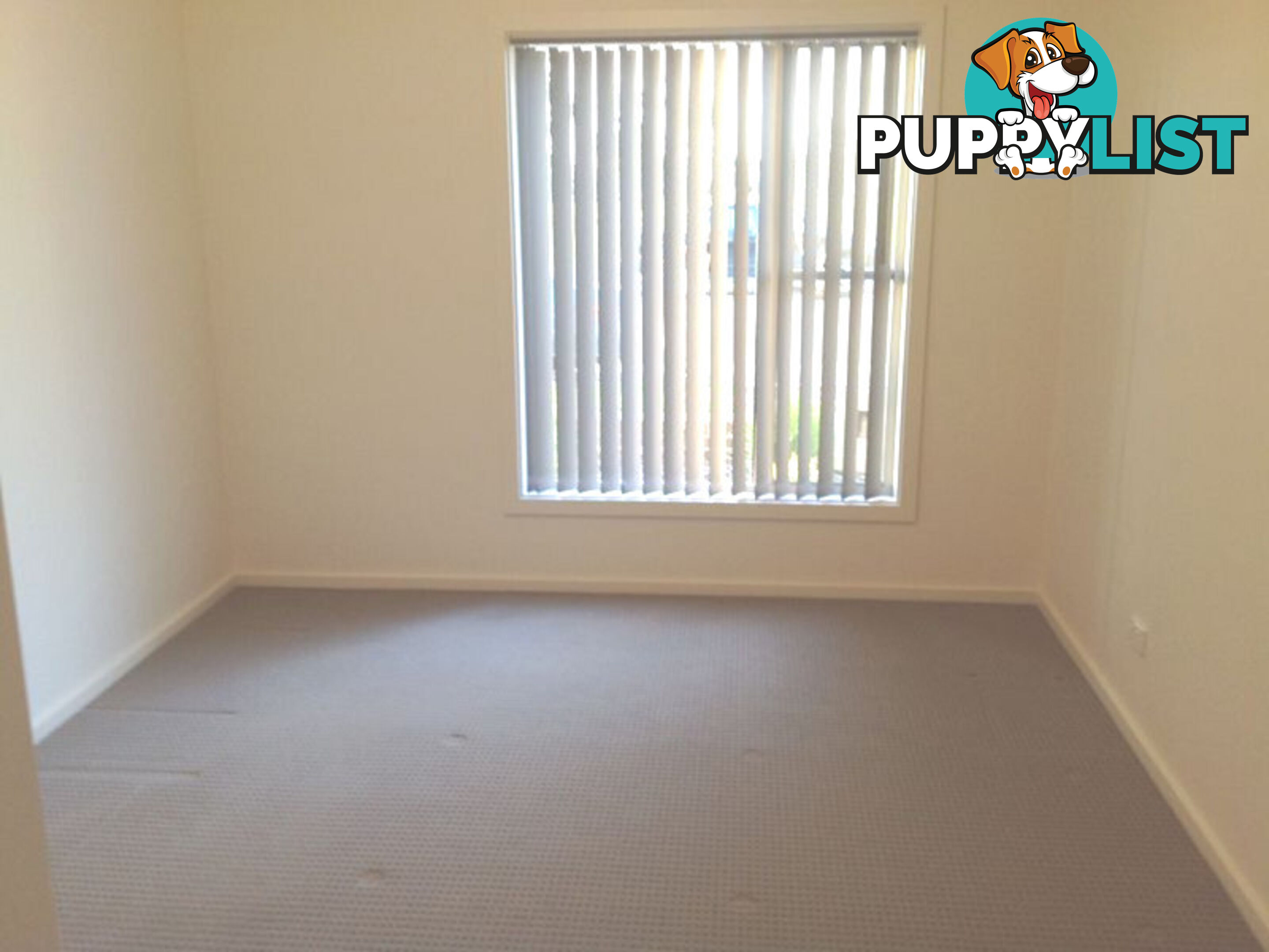 37 St Claire Avenue ST CLAIR SA 5011