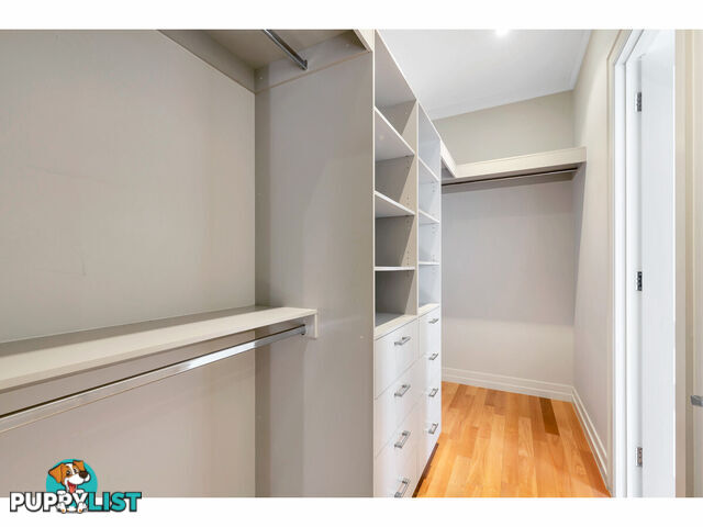 24A Eighth Avenue ST PETERS SA 5069