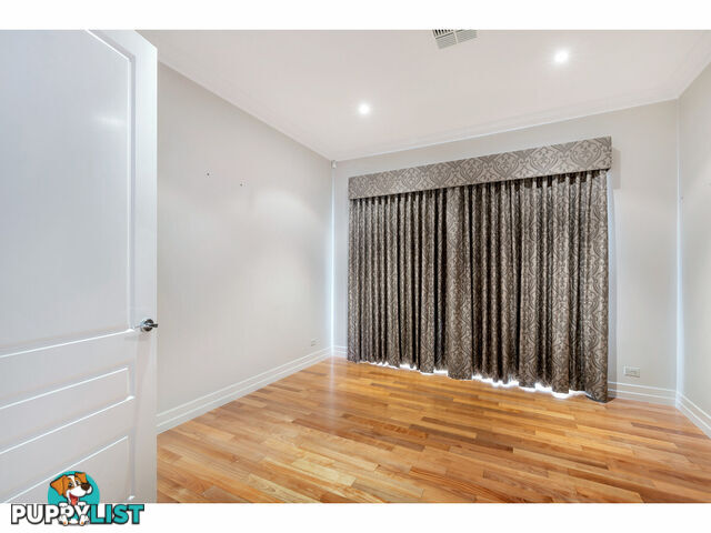 24A Eighth Avenue ST PETERS SA 5069