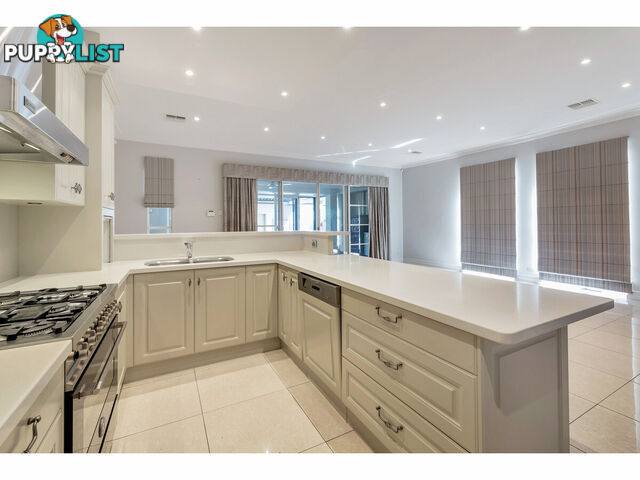24A Eighth Avenue ST PETERS SA 5069