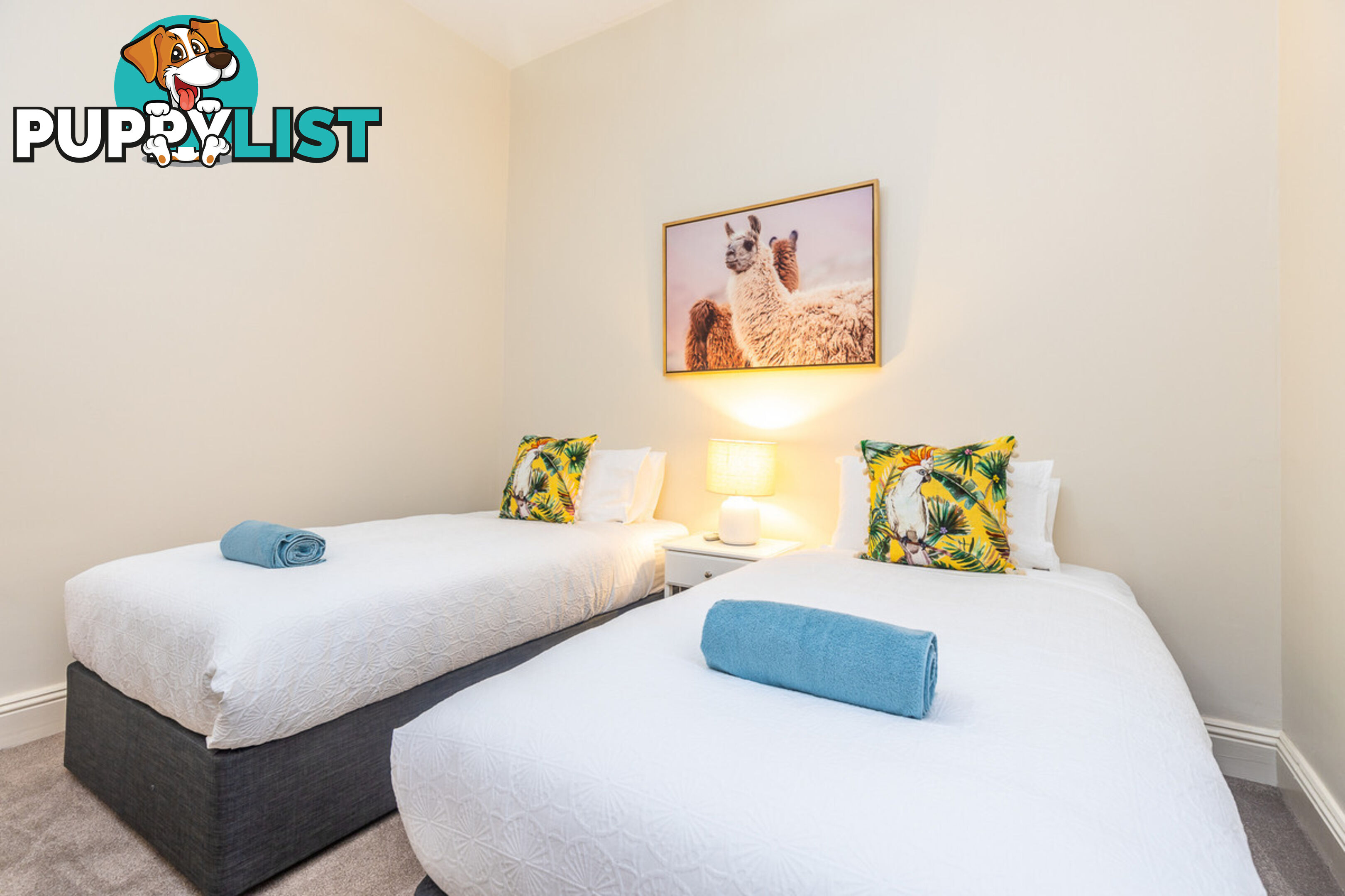 30 Tucker Street ADELAIDE SA 5000