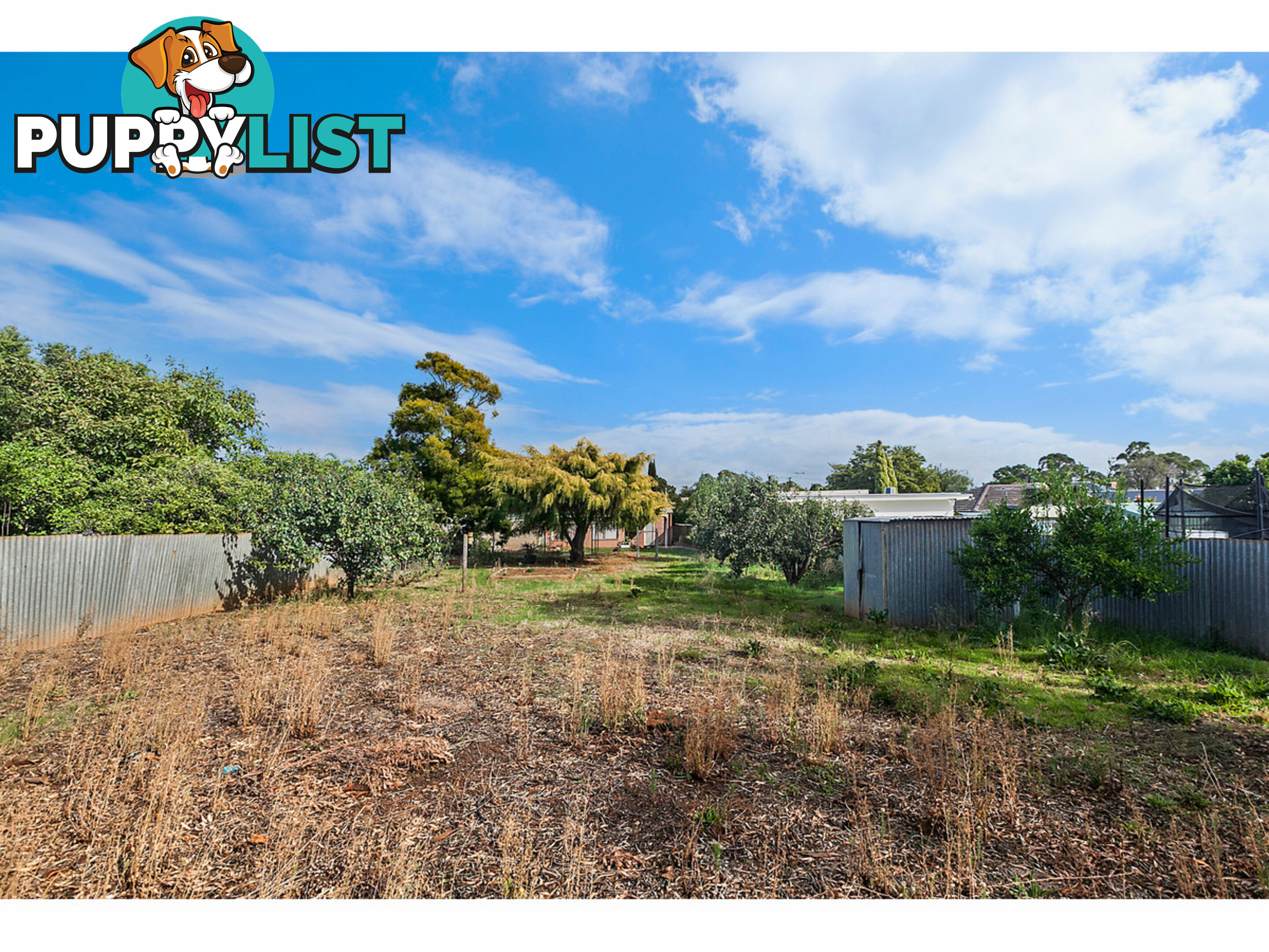 64 Briant Road MAGILL SA 5072