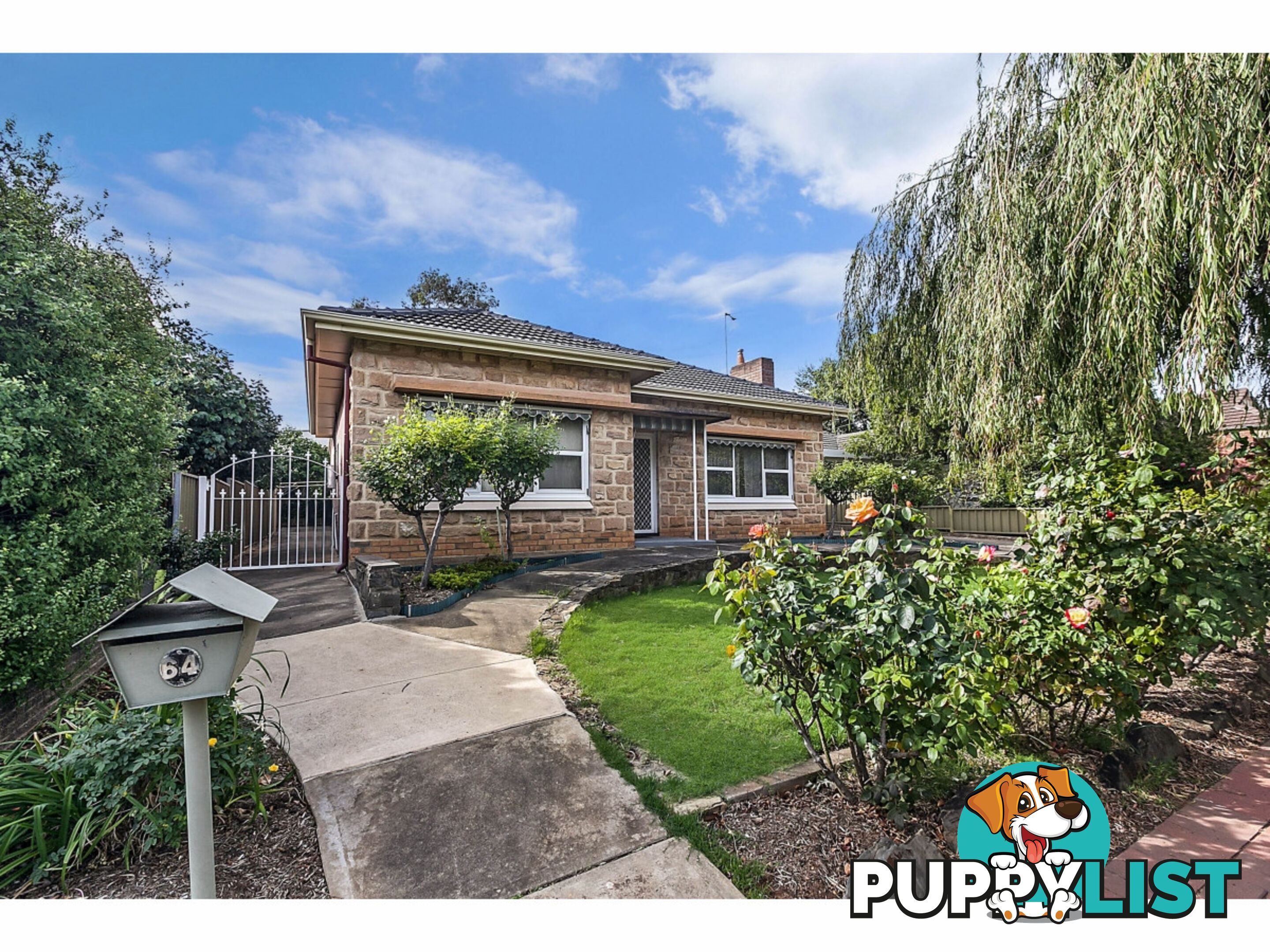 64 Briant Road MAGILL SA 5072