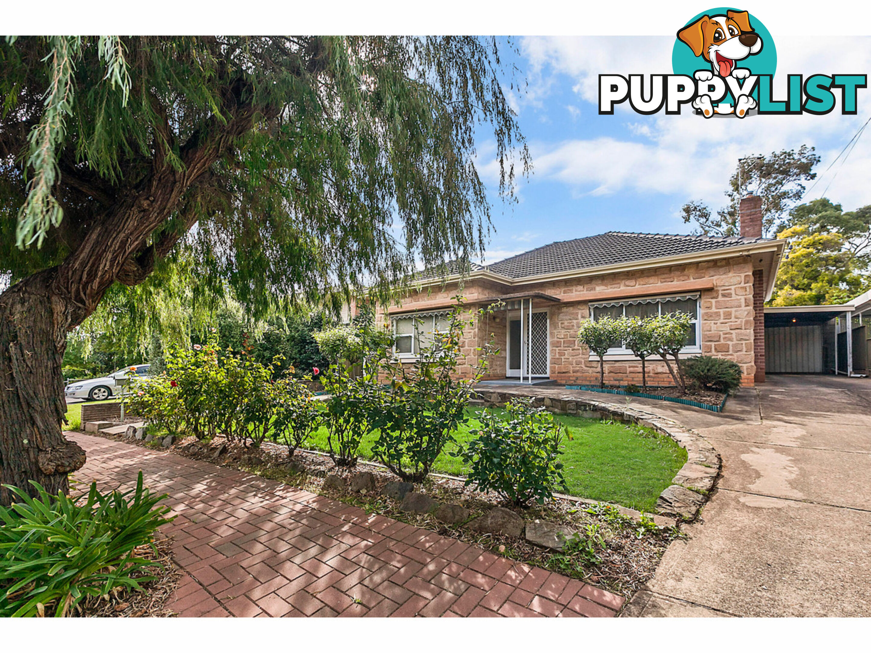 64 Briant Road MAGILL SA 5072