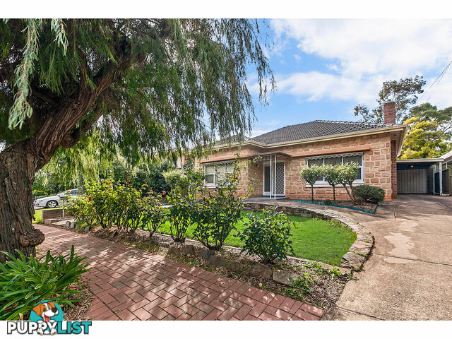 64 Briant Road MAGILL SA 5072