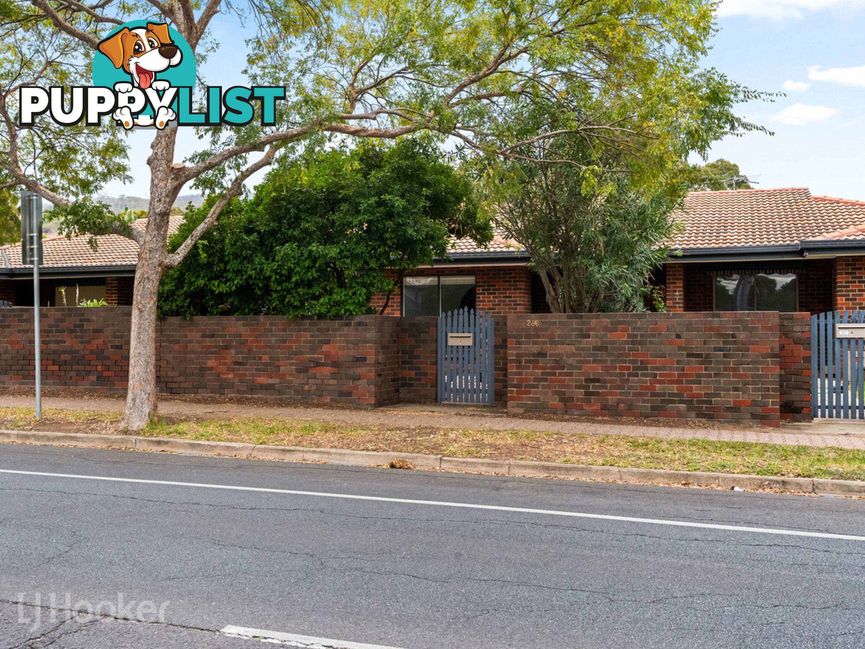 3/286 Montacute Road ROSTREVOR SA 5073