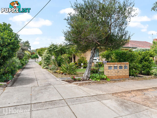 2/32 Hereford Avenue TRINITY GARDENS SA 5068