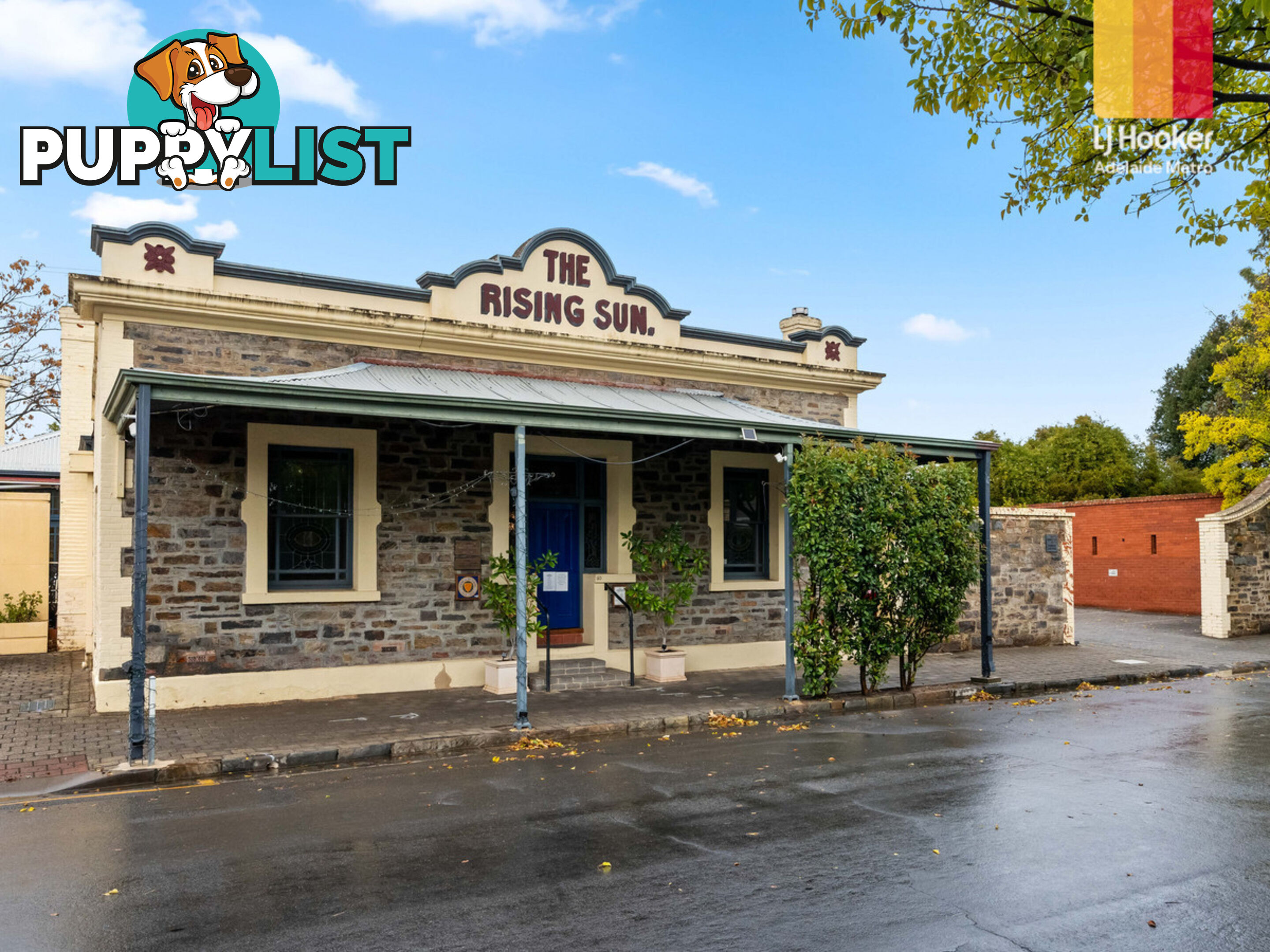 3 Salter Street KENSINGTON SA 5068