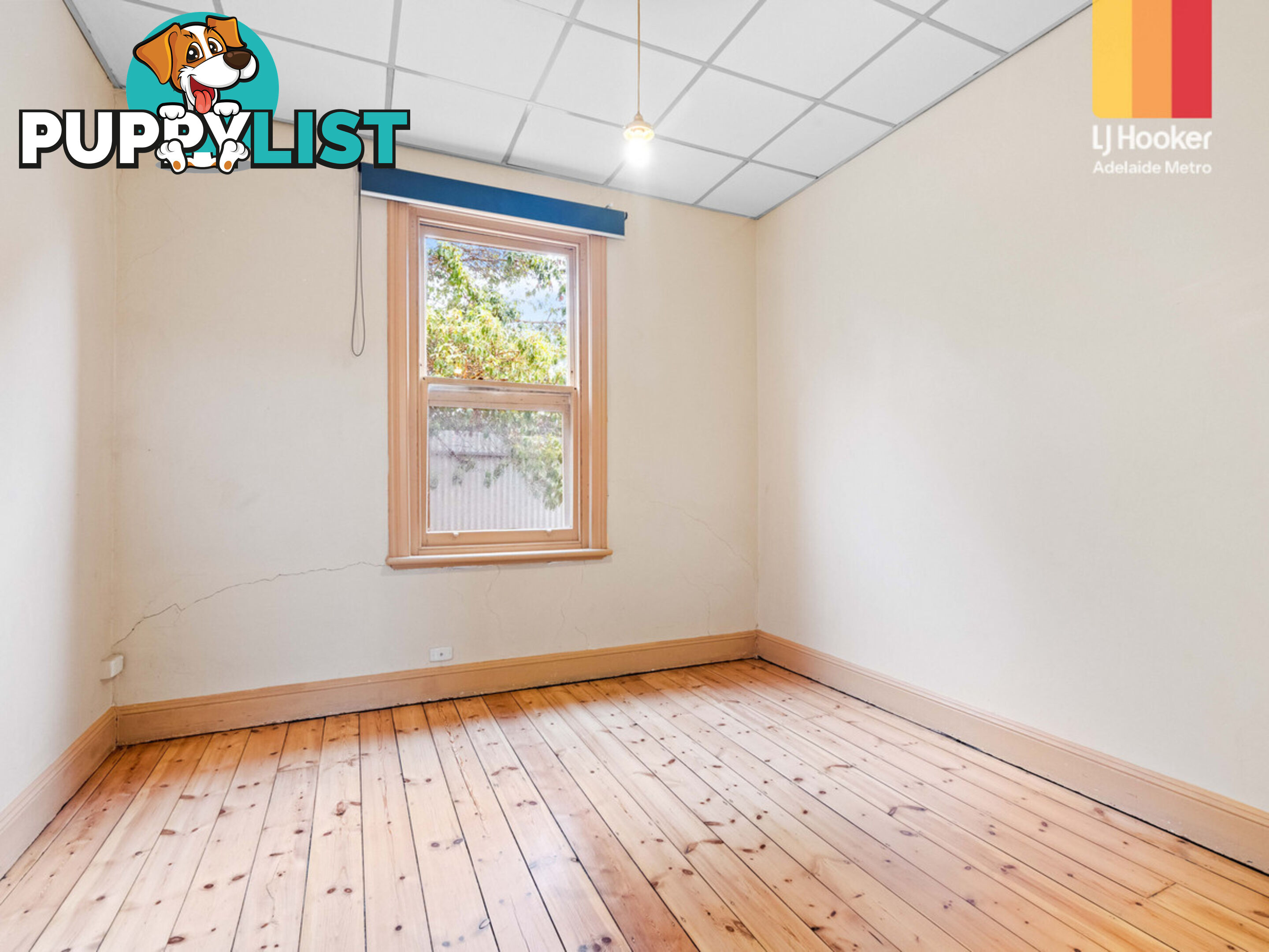 3 Salter Street KENSINGTON SA 5068