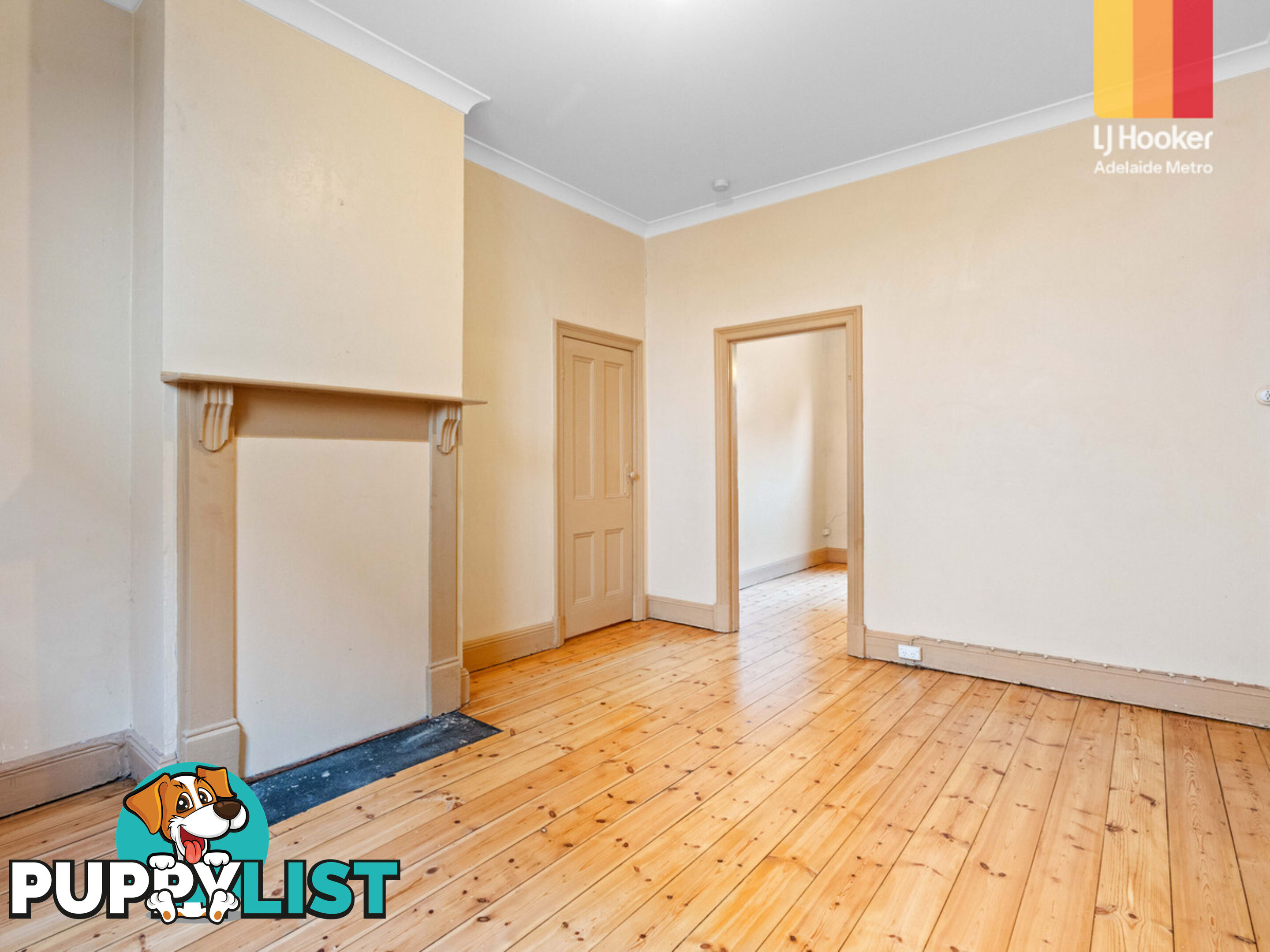 3 Salter Street KENSINGTON SA 5068
