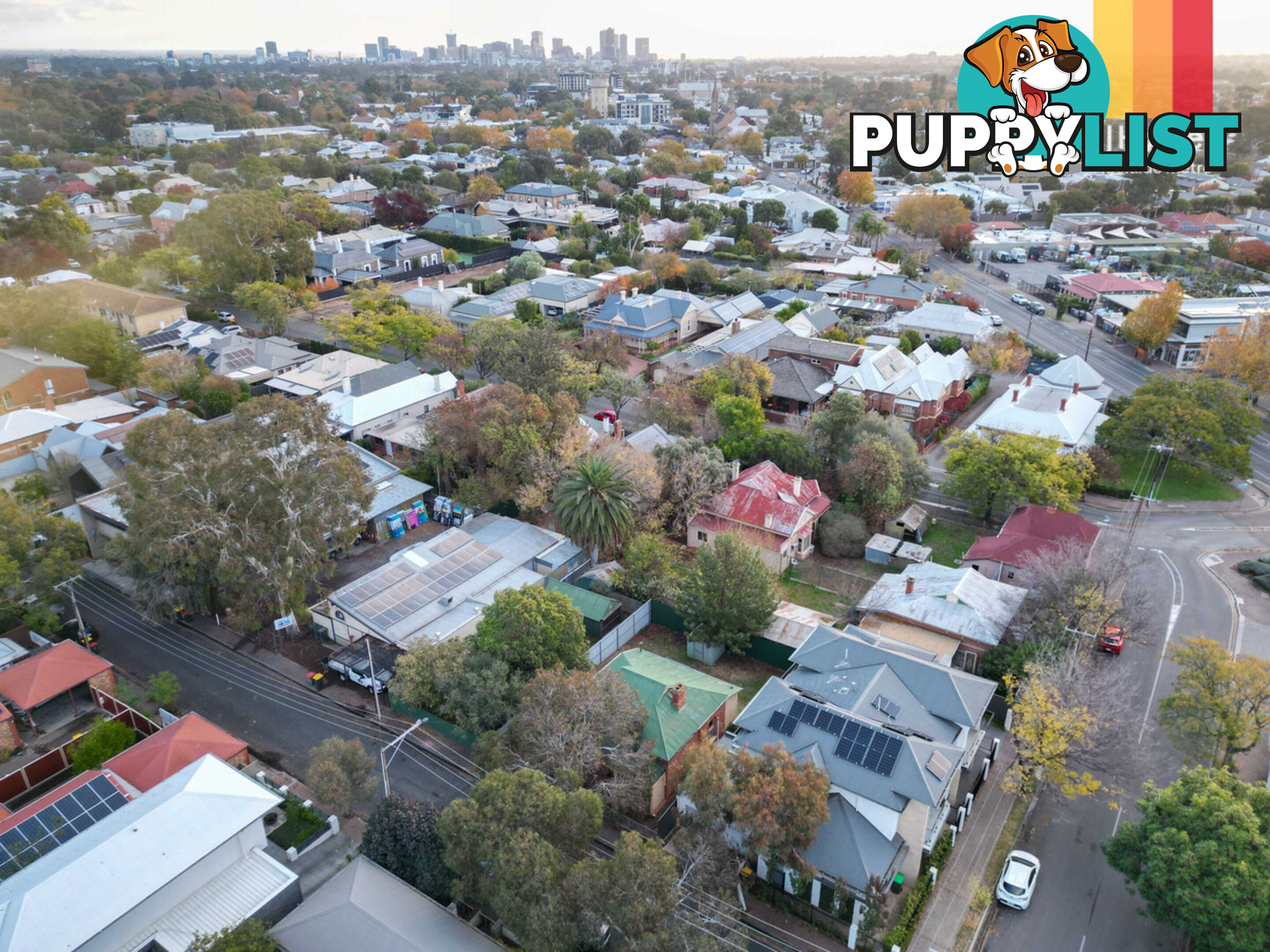 3 Salter Street KENSINGTON SA 5068