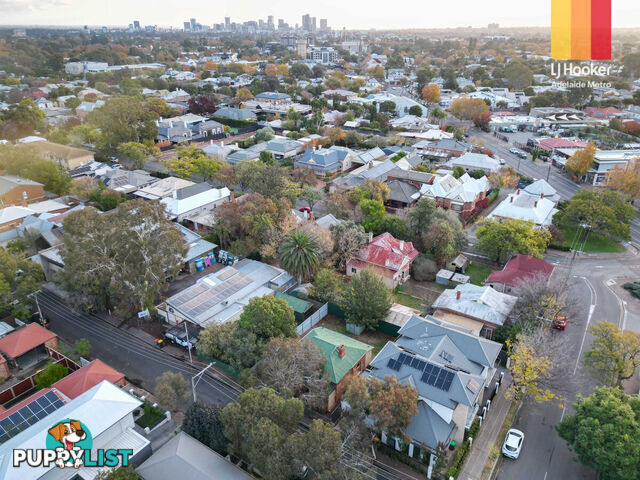 3 Salter Street KENSINGTON SA 5068