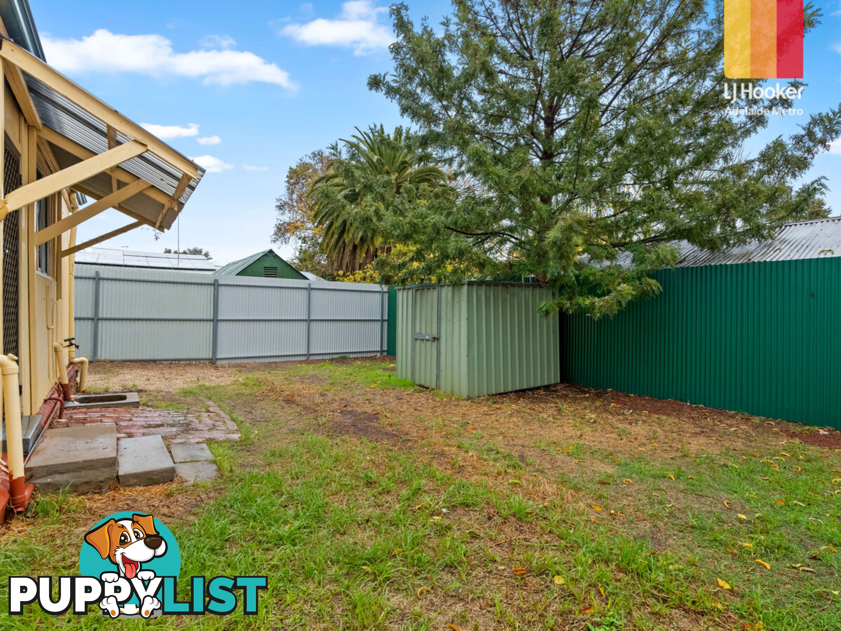 3 Salter Street KENSINGTON SA 5068