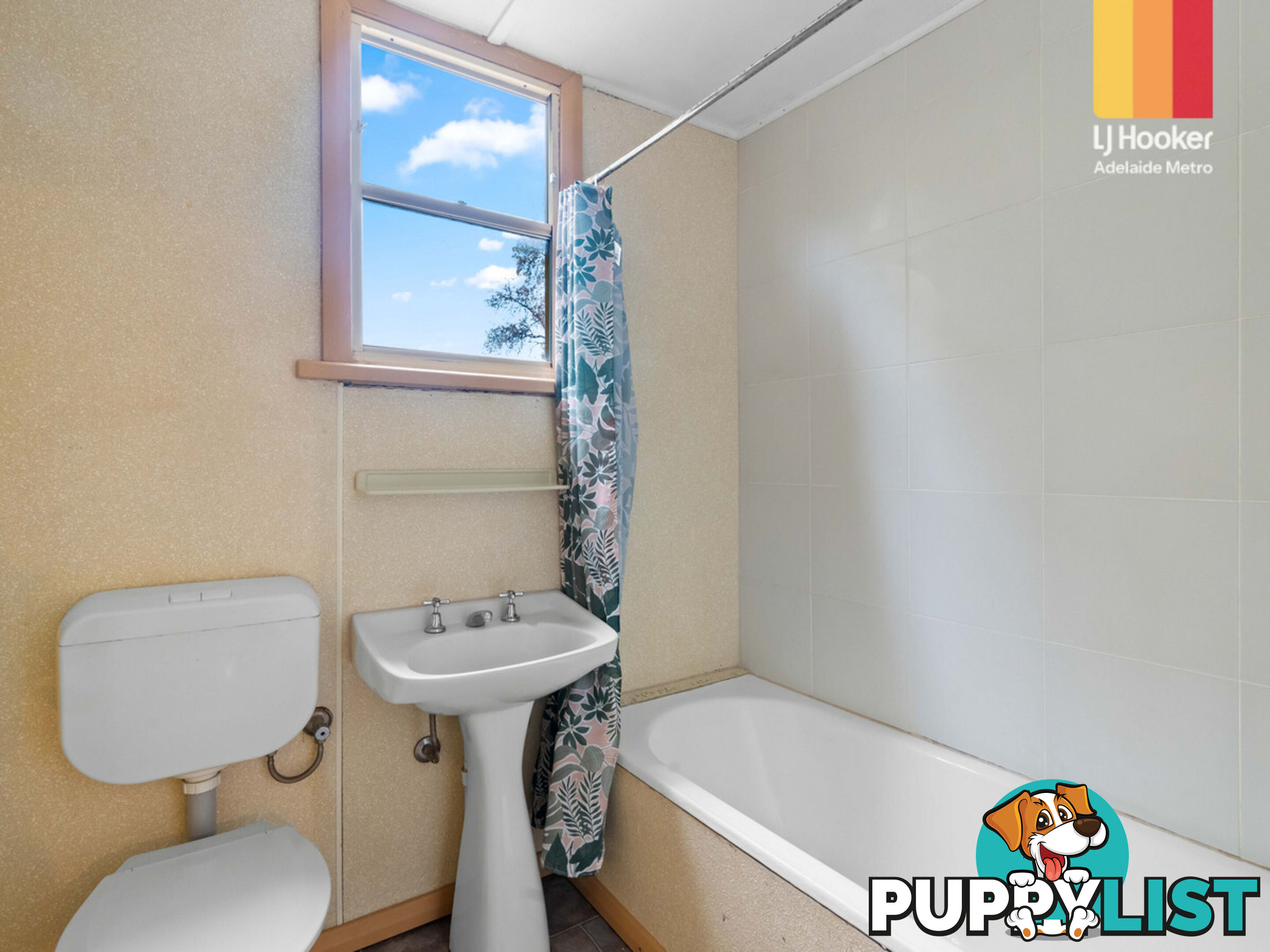 3 Salter Street KENSINGTON SA 5068