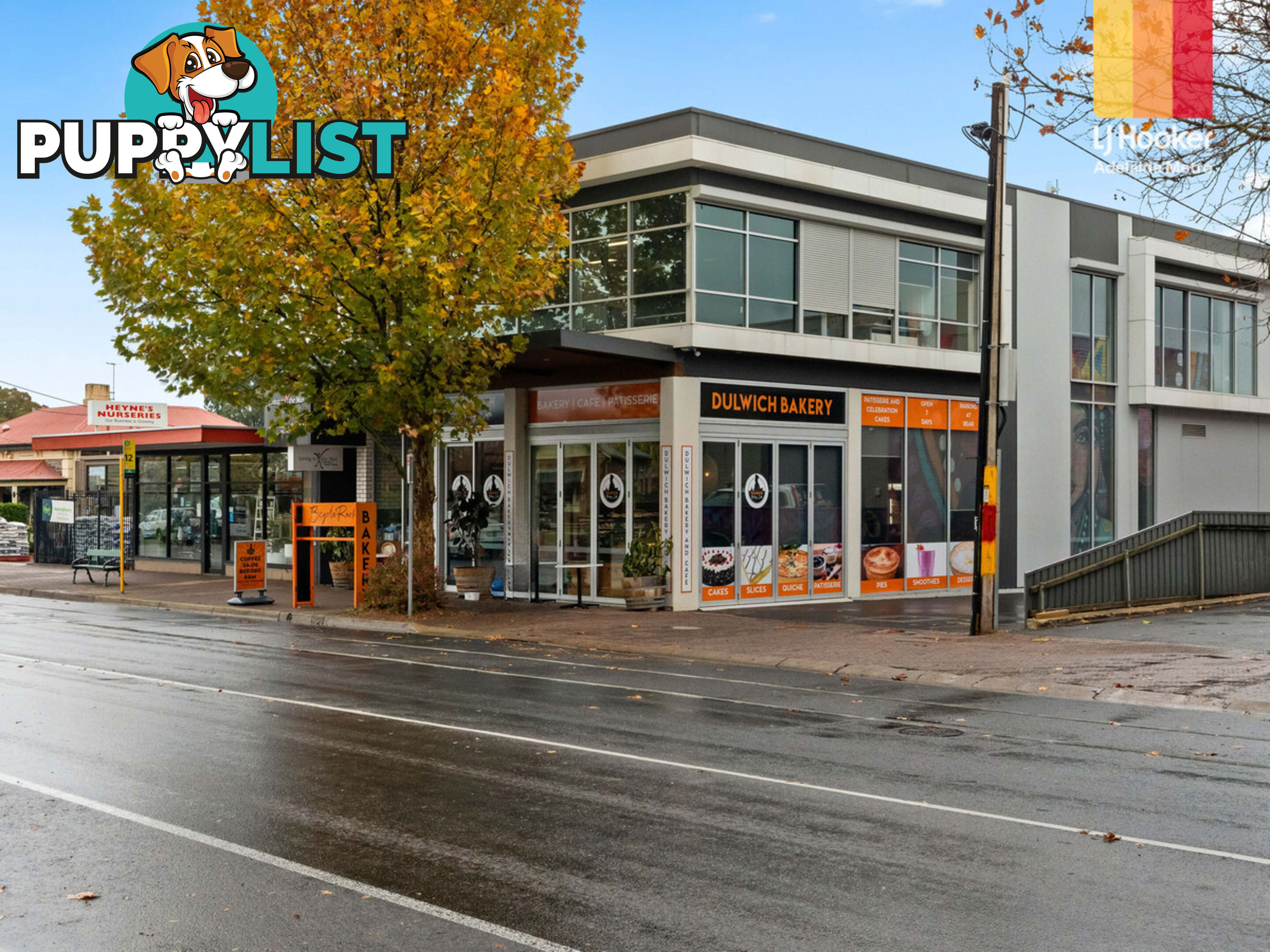 3 Salter Street KENSINGTON SA 5068