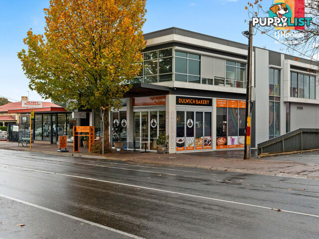3 Salter Street KENSINGTON SA 5068