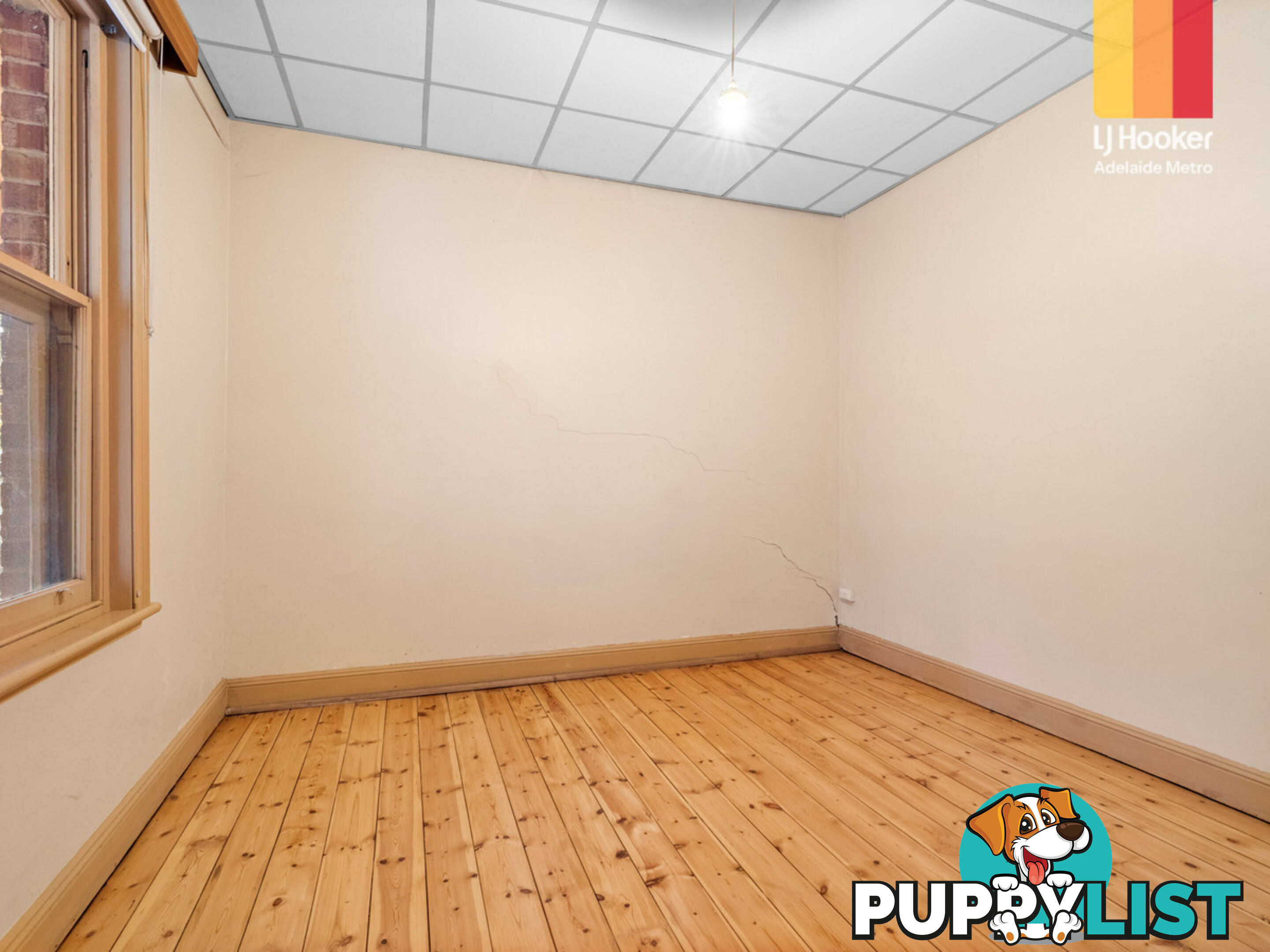 3 Salter Street KENSINGTON SA 5068