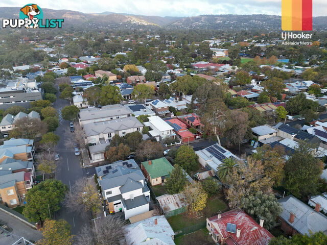3 Salter Street KENSINGTON SA 5068