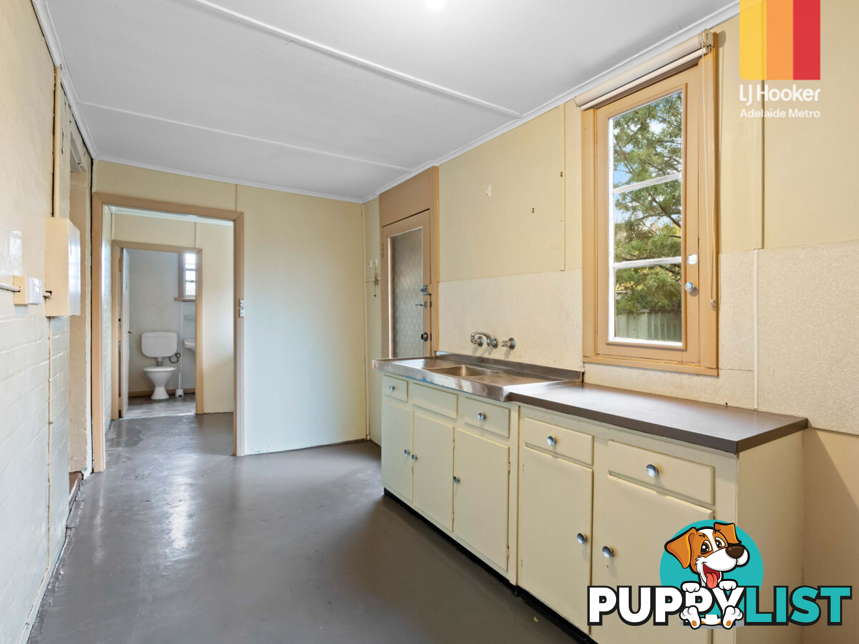 3 Salter Street KENSINGTON SA 5068