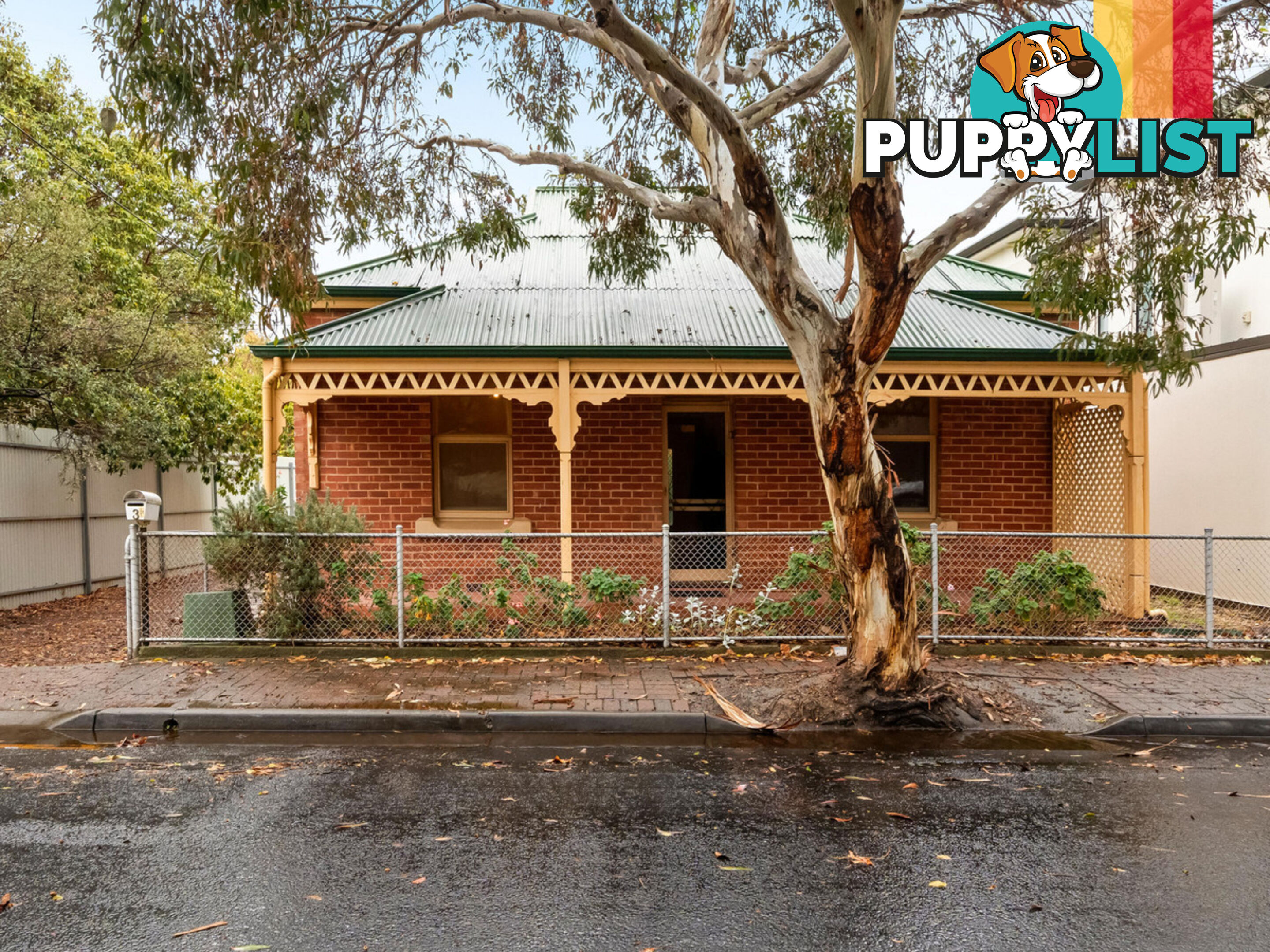 3 Salter Street KENSINGTON SA 5068